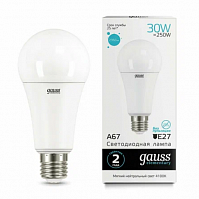 Лампа Gauss LED Elementary А67 30W E27, 4100