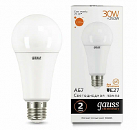 Лампа Gauss LED Elementary А67 30W E27, 3000