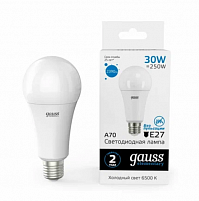 Лампа Gauss LED Elementary А67 30W E27, 6500